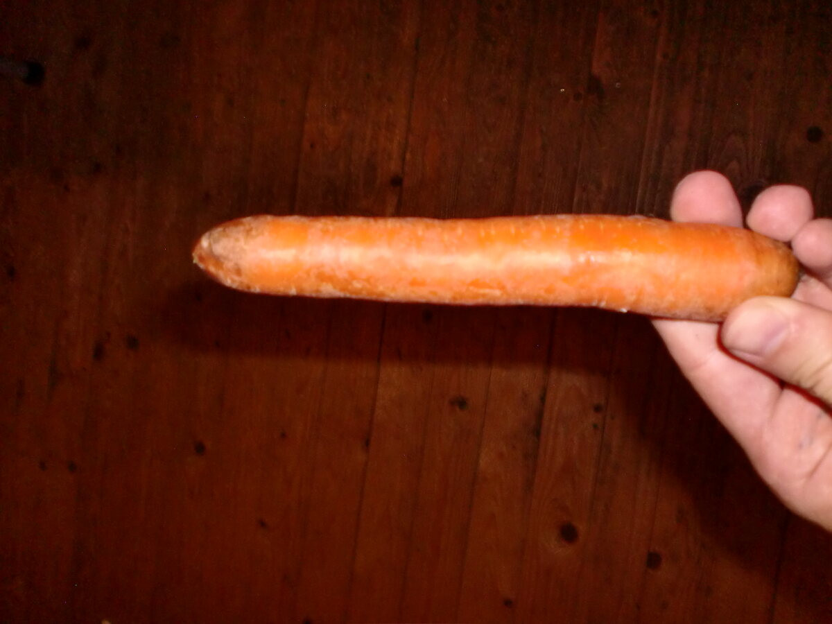 A Carrot